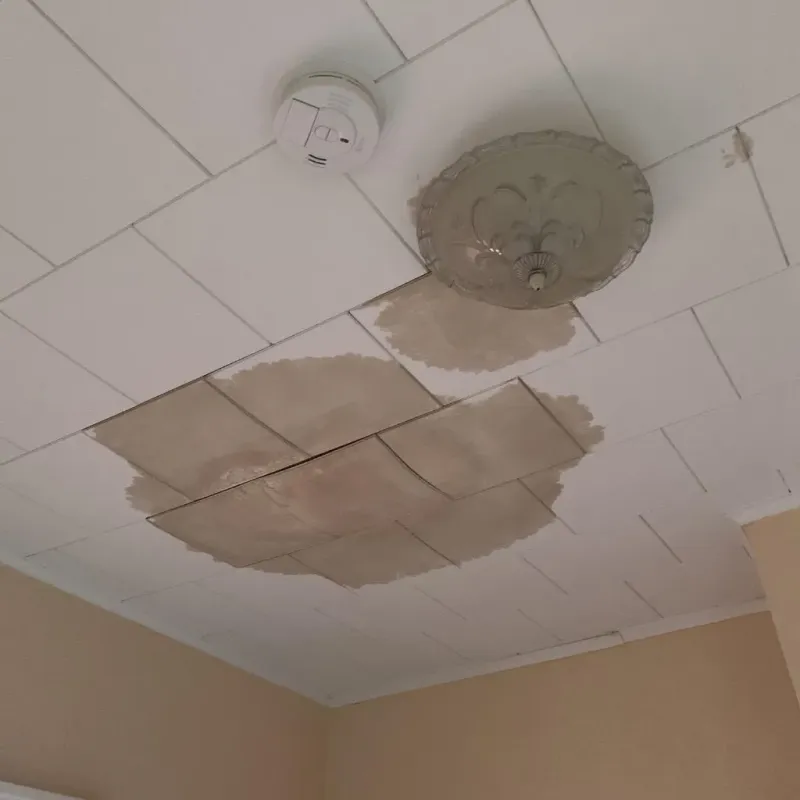 Ceiling Water Damage Repair in Villas, NJ
