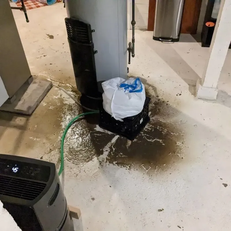 Sewage Backup Cleanup Service in Villas, NJ